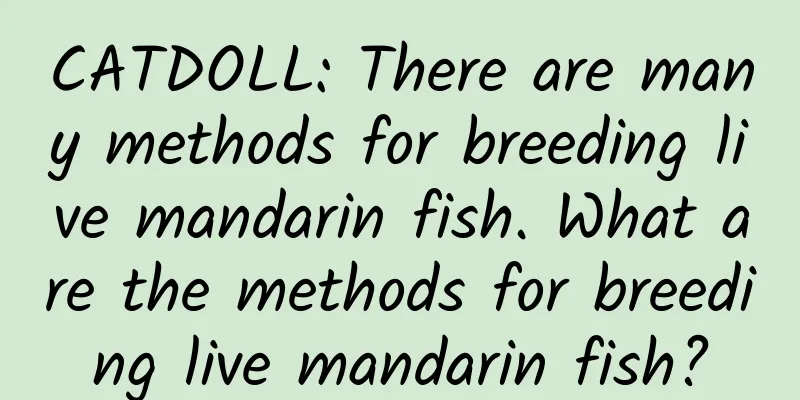 CATDOLL: There are many methods for breeding live mandarin fish. What are the methods for breeding live mandarin fish?