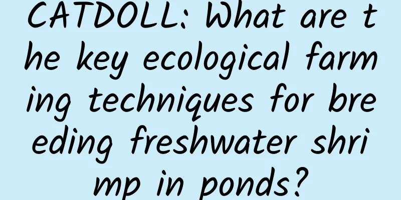 CATDOLL: What are the key ecological farming techniques for breeding freshwater shrimp in ponds?