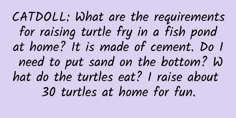 CATDOLL: What are the requirements for raising turtle fry in a fish pond at home? It is made of cement. Do I need to put sand on the bottom? What do the turtles eat? I raise about 30 turtles at home for fun.