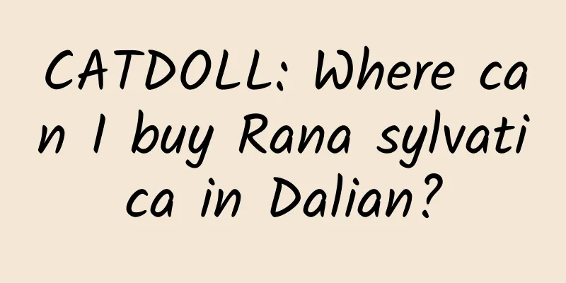 CATDOLL: Where can I buy Rana sylvatica in Dalian?