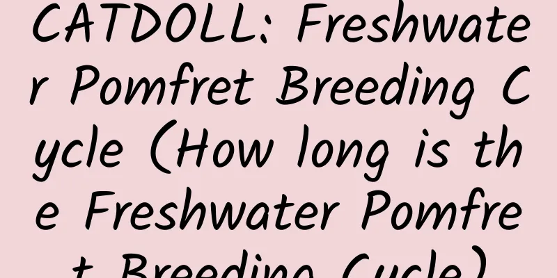 CATDOLL: Freshwater Pomfret Breeding Cycle (How long is the Freshwater Pomfret Breeding Cycle)