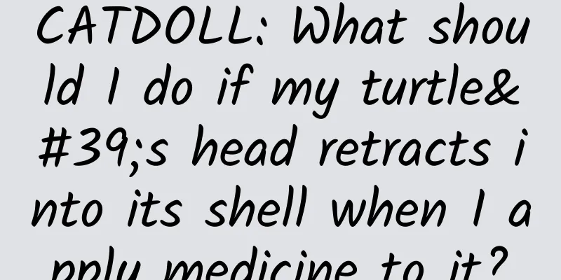 CATDOLL: What should I do if my turtle's head retracts into its shell when I apply medicine to it?