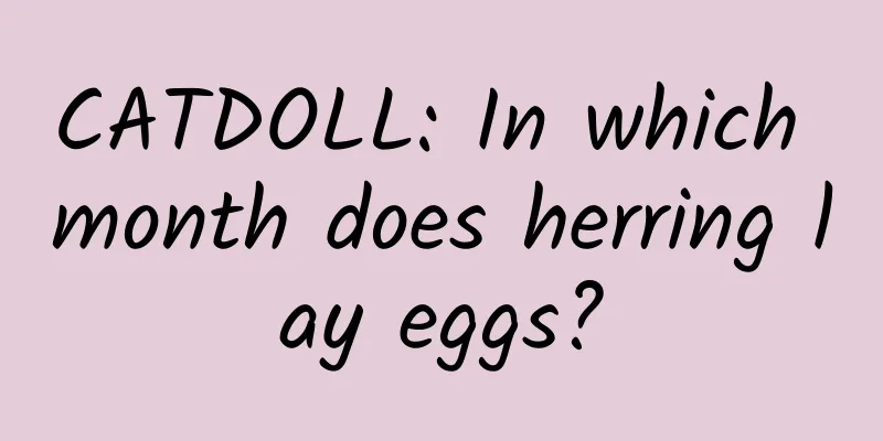 CATDOLL: In which month does herring lay eggs?