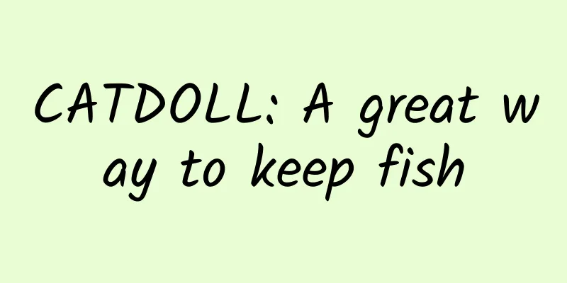 CATDOLL: A great way to keep fish
