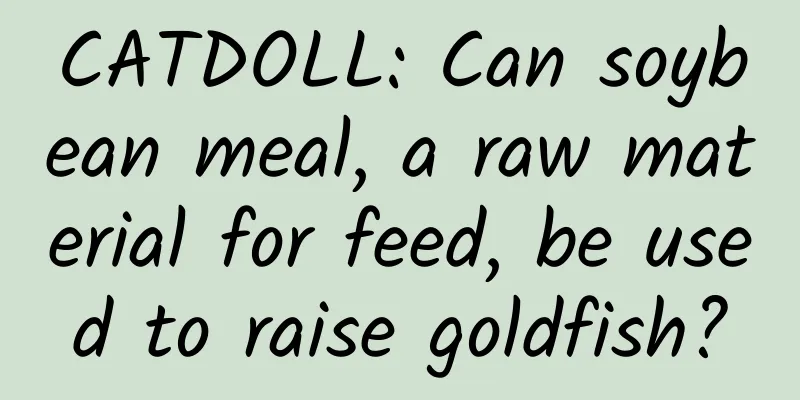 CATDOLL: Can soybean meal, a raw material for feed, be used to raise goldfish?