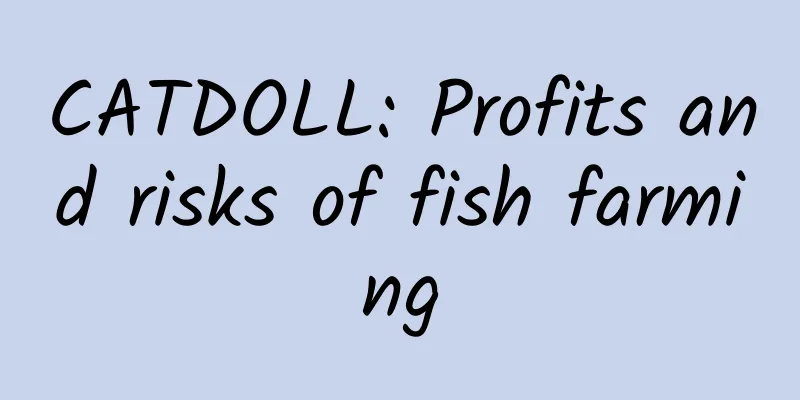 CATDOLL: Profits and risks of fish farming