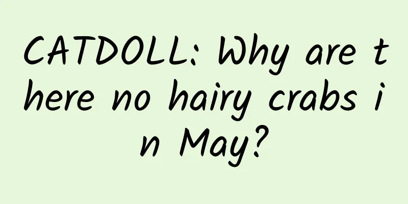 CATDOLL: Why are there no hairy crabs in May?