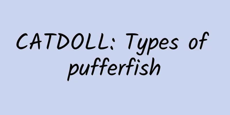 CATDOLL: Types of pufferfish