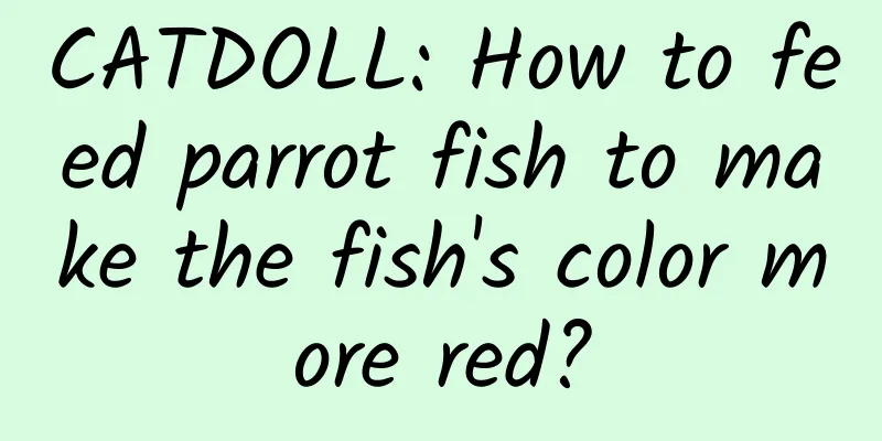 CATDOLL: How to feed parrot fish to make the fish's color more red?