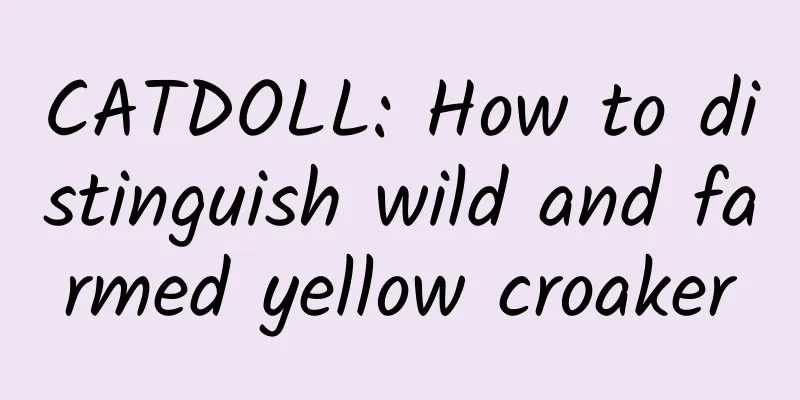 CATDOLL: How to distinguish wild and farmed yellow croaker
