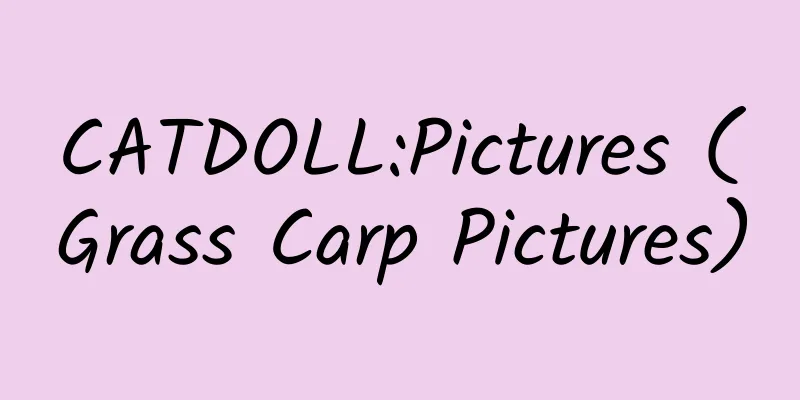 CATDOLL:Pictures (Grass Carp Pictures)