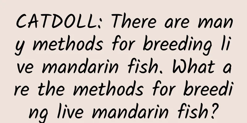 CATDOLL: There are many methods for breeding live mandarin fish. What are the methods for breeding live mandarin fish?