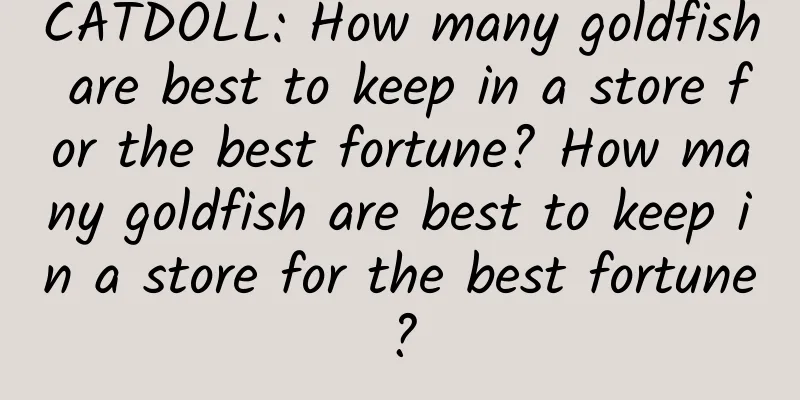 CATDOLL: How many goldfish are best to keep in a store for the best fortune? How many goldfish are best to keep in a store for the best fortune?