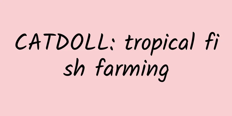 CATDOLL: tropical fish farming