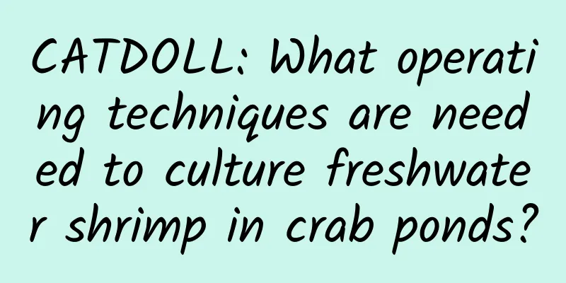 CATDOLL: What operating techniques are needed to culture freshwater shrimp in crab ponds?
