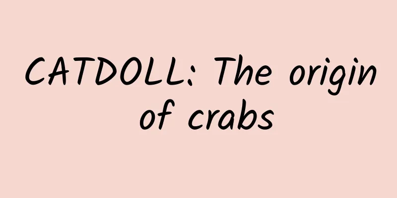 CATDOLL: The origin of crabs