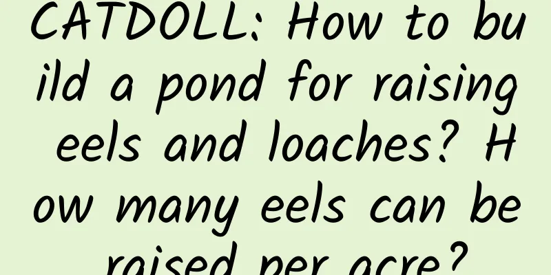 CATDOLL: How to build a pond for raising eels and loaches? How many eels can be raised per acre?