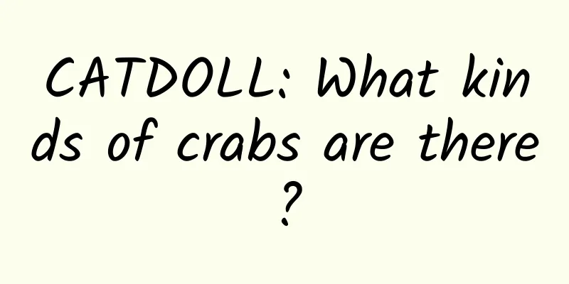 CATDOLL: What kinds of crabs are there?