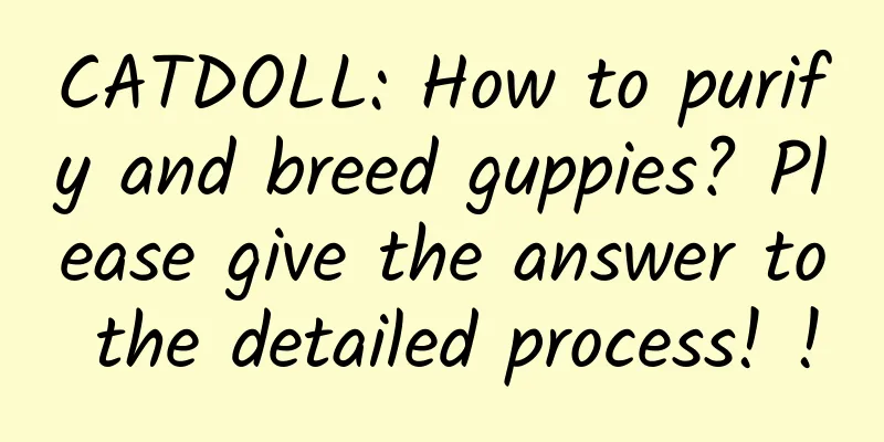 CATDOLL: How to purify and breed guppies? Please give the answer to the detailed process! !