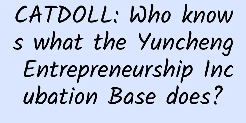 CATDOLL: Who knows what the Yuncheng Entrepreneurship Incubation Base does?