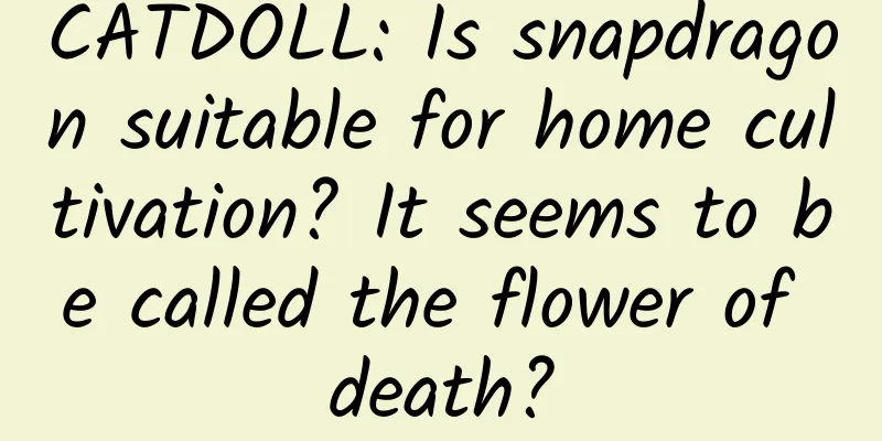 CATDOLL: Is snapdragon suitable for home cultivation? It seems to be called the flower of death?
