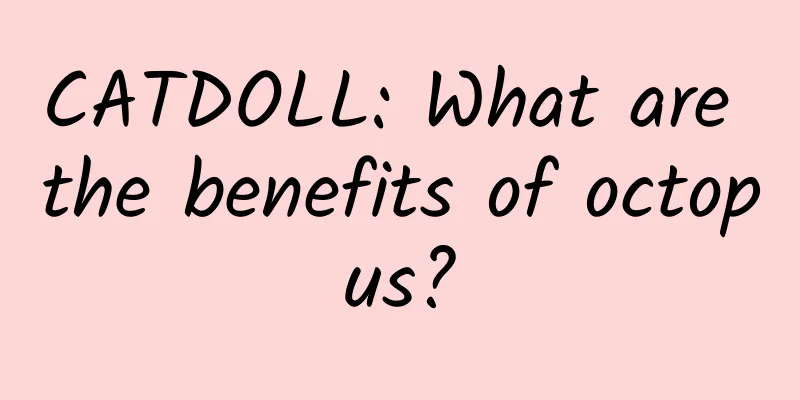 CATDOLL: What are the benefits of octopus?