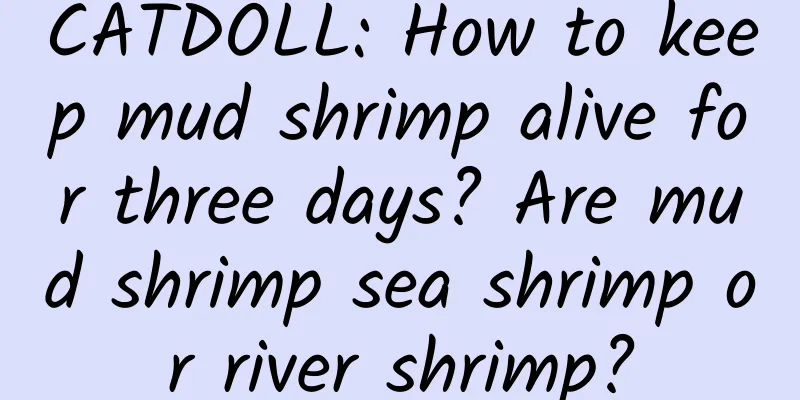 CATDOLL: How to keep mud shrimp alive for three days? Are mud shrimp sea shrimp or river shrimp?