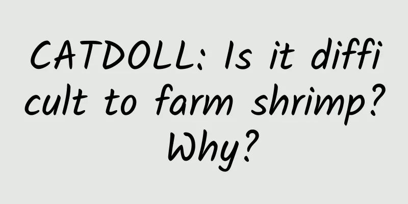 CATDOLL: Is it difficult to farm shrimp? Why?