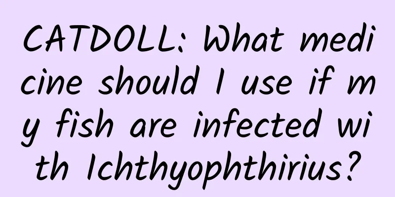 CATDOLL: What medicine should I use if my fish are infected with Ichthyophthirius?