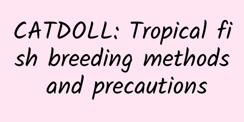 CATDOLL: Tropical fish breeding methods and precautions