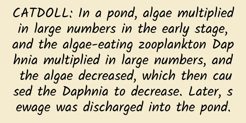 CATDOLL: In a pond, algae multiplied in large numbers in the early stage, and the algae-eating zooplankton Daphnia multiplied in large numbers, and the algae decreased, which then caused the Daphnia to decrease. Later, sewage was discharged into the pond.