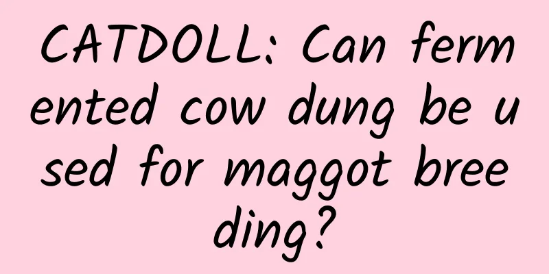 CATDOLL: Can fermented cow dung be used for maggot breeding?