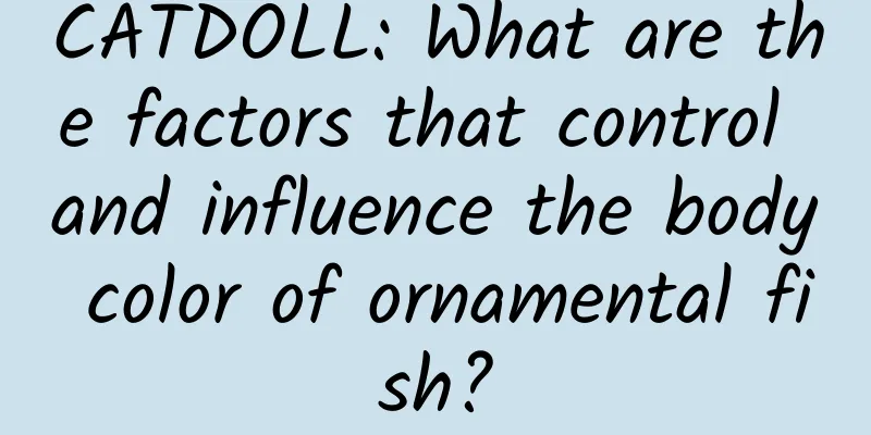 CATDOLL: What are the factors that control and influence the body color of ornamental fish?