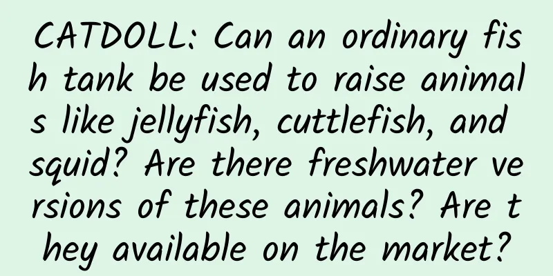 CATDOLL: Can an ordinary fish tank be used to raise animals like jellyfish, cuttlefish, and squid? Are there freshwater versions of these animals? Are they available on the market?