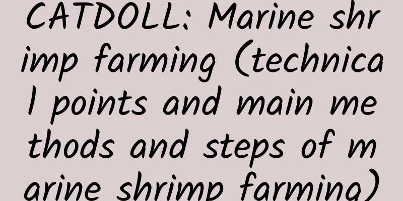 CATDOLL: Marine shrimp farming (technical points and main methods and steps of marine shrimp farming)
