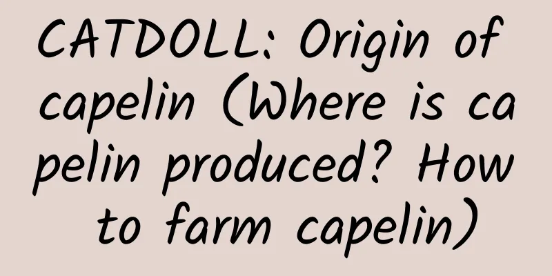 CATDOLL: Origin of capelin (Where is capelin produced? How to farm capelin)