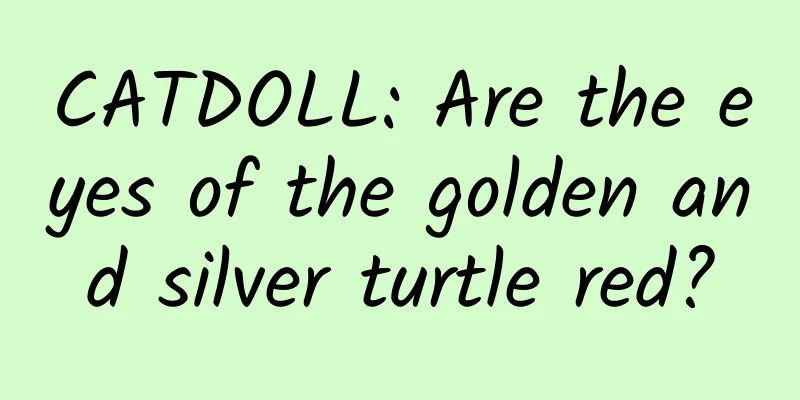 CATDOLL: Are the eyes of the golden and silver turtle red?