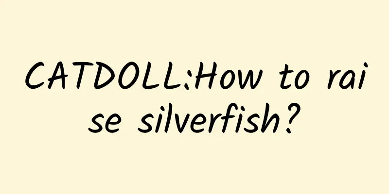 CATDOLL:How to raise silverfish?