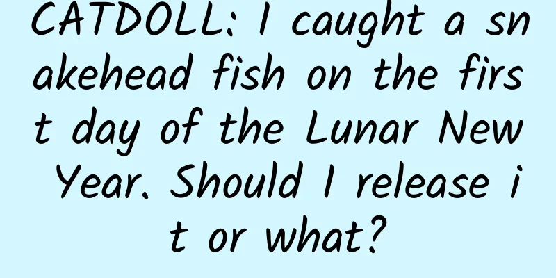 CATDOLL: I caught a snakehead fish on the first day of the Lunar New Year. Should I release it or what?