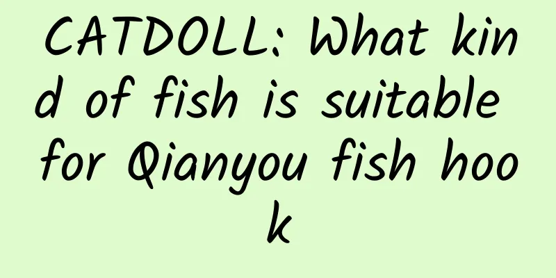 CATDOLL: What kind of fish is suitable for Qianyou fish hook