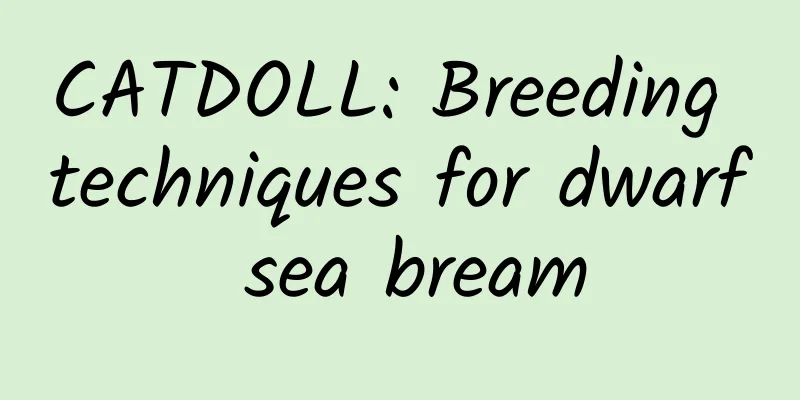 CATDOLL: Breeding techniques for dwarf sea bream