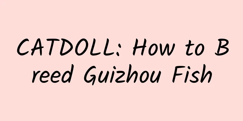 CATDOLL: How to Breed Guizhou Fish