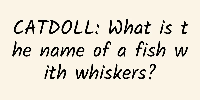 CATDOLL: What is the name of a fish with whiskers?