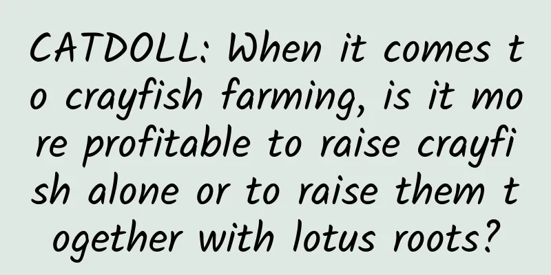 CATDOLL: When it comes to crayfish farming, is it more profitable to raise crayfish alone or to raise them together with lotus roots?