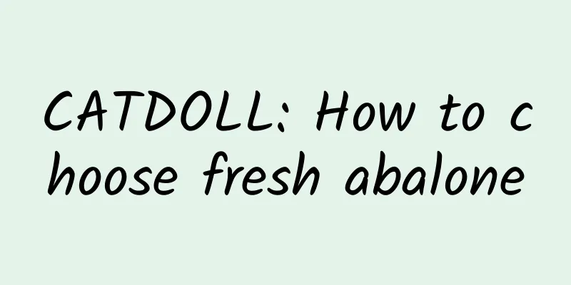 CATDOLL: How to choose fresh abalone