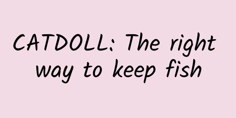 CATDOLL: The right way to keep fish