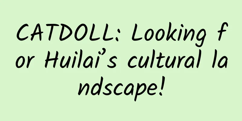 CATDOLL: Looking for Huilai’s cultural landscape!