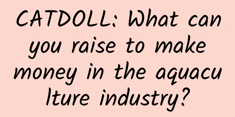 CATDOLL: What can you raise to make money in the aquaculture industry?