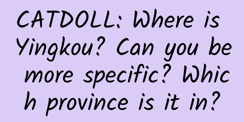 CATDOLL: Where is Yingkou? Can you be more specific? Which province is it in?