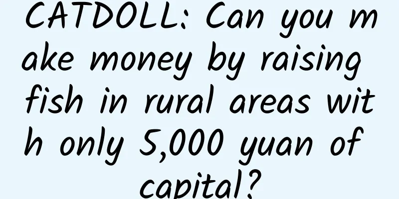 CATDOLL: Can you make money by raising fish in rural areas with only 5,000 yuan of capital?